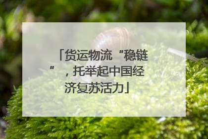 货运物流“稳链”，托举起中国经济复苏活力